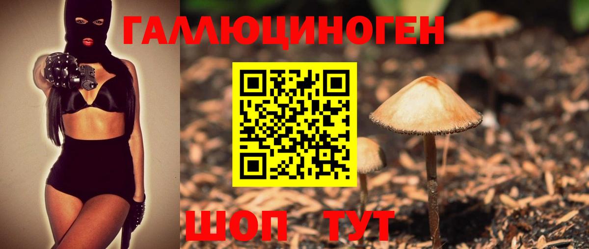 Ковров  Псилоцибиновые грибы MAGIC MUSHROOMS  Псилоцибиновые грибы GOLDEN TEACHER  Вход с VPN 