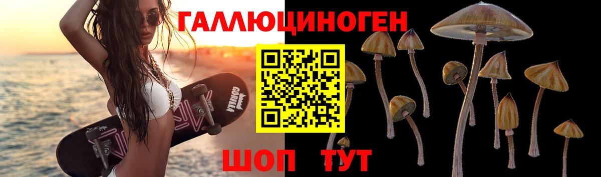 Галлюциногенные грибы Cubensis Ковров